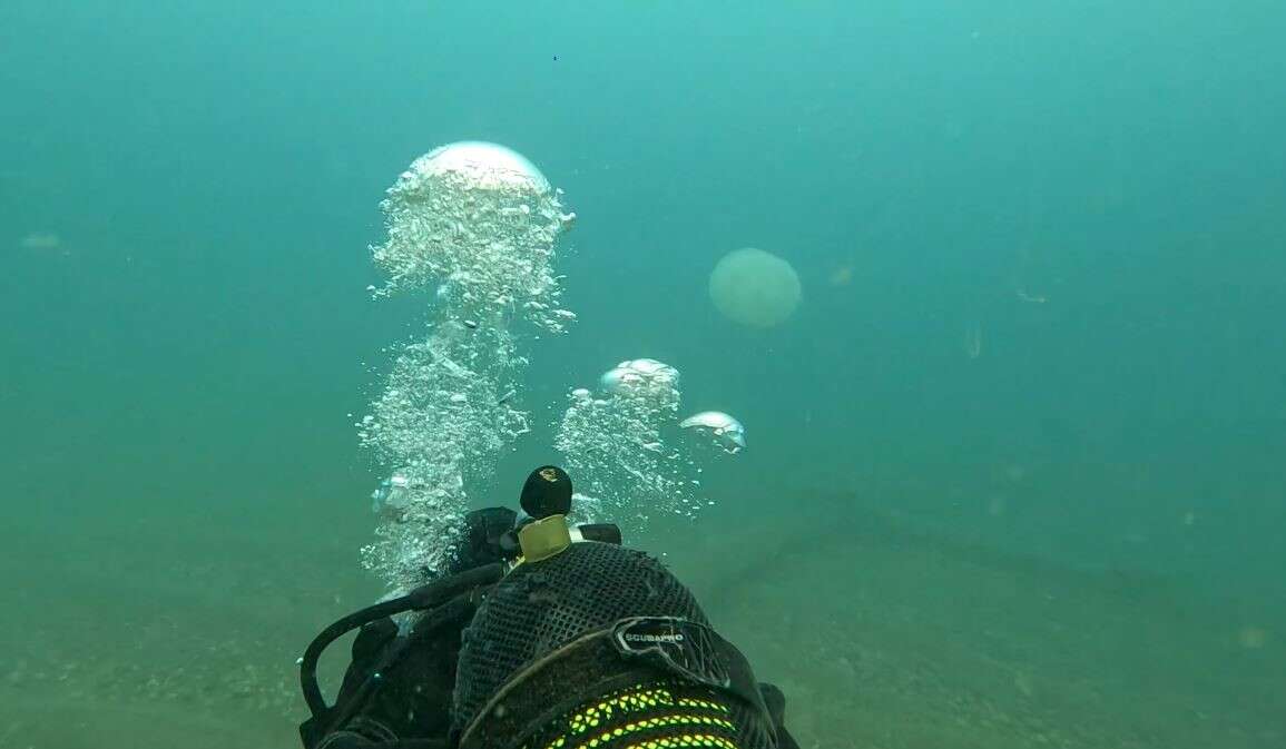 Antalyalı Balıkçıların Kabusu Oldu 7